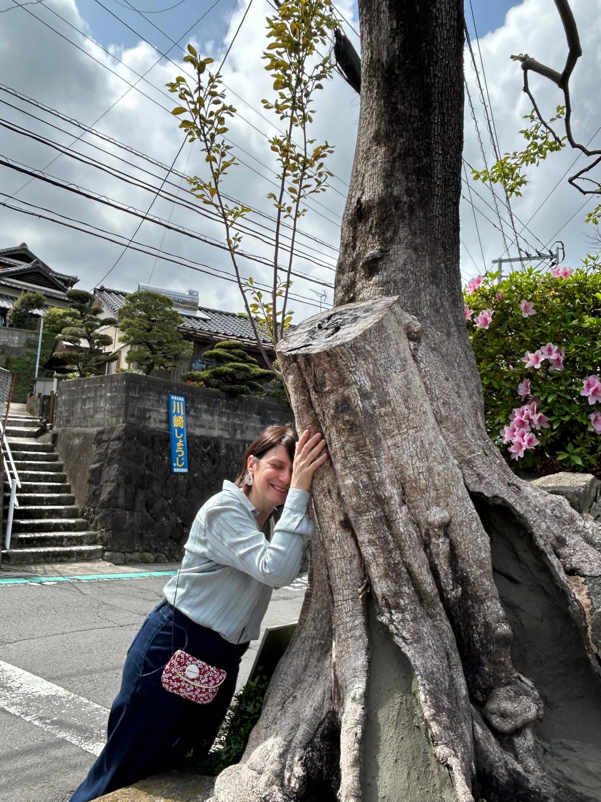 Chiara Bazzoli abbraccia il tronco dell'albero di cachi sopravvissuto alla bomba atomica di Nagasaki